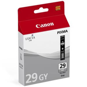 Canon Pgi-29 Gris 4871b001